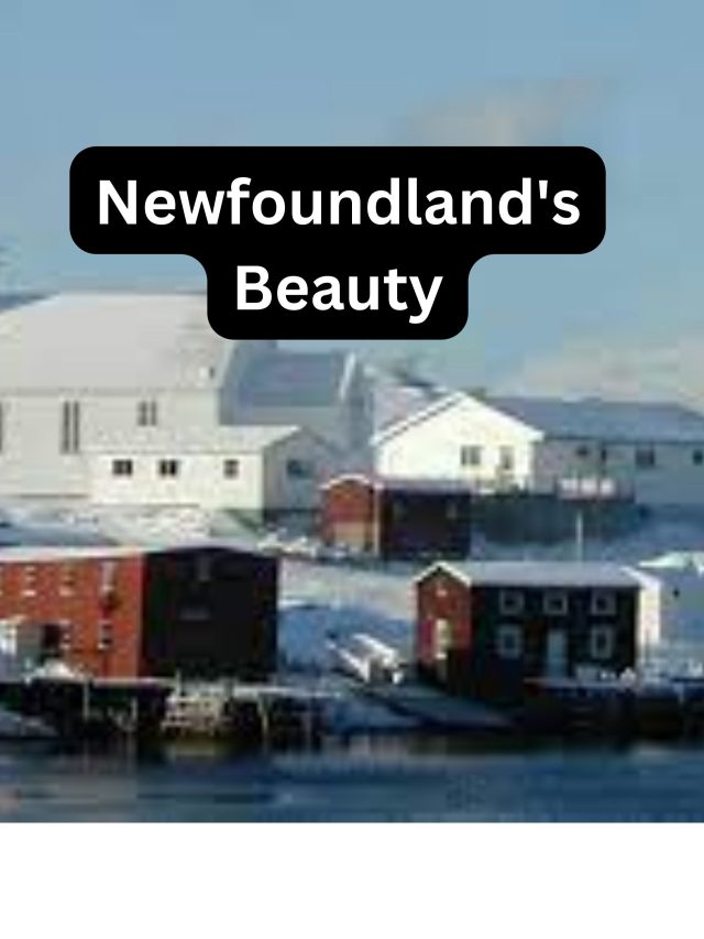 “Newfoundland’s Beauty” – A special place